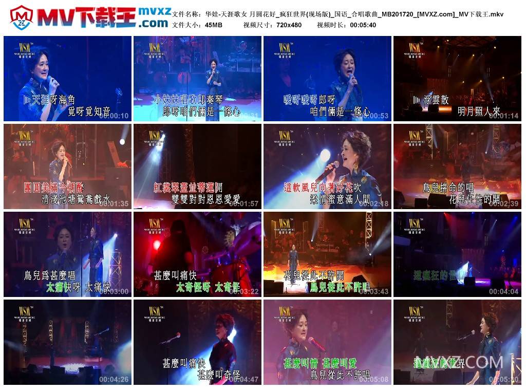 华娃-天涯歌女 月圆花好_疯狂世界(现场版)_国语_合唱歌曲_MB201720